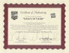 Crimson Strike Team Certificate<br><i>Contributed by: John Wojnowski</i>