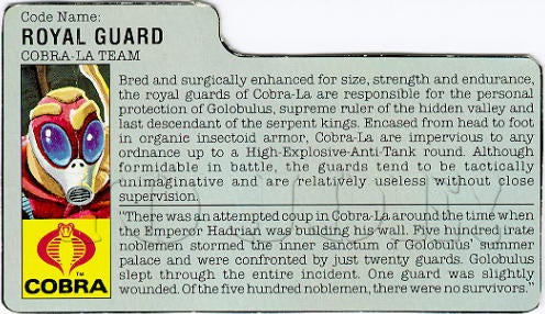 Royal Guard v1 G.I. Joe Action Figure YoJoe Archive